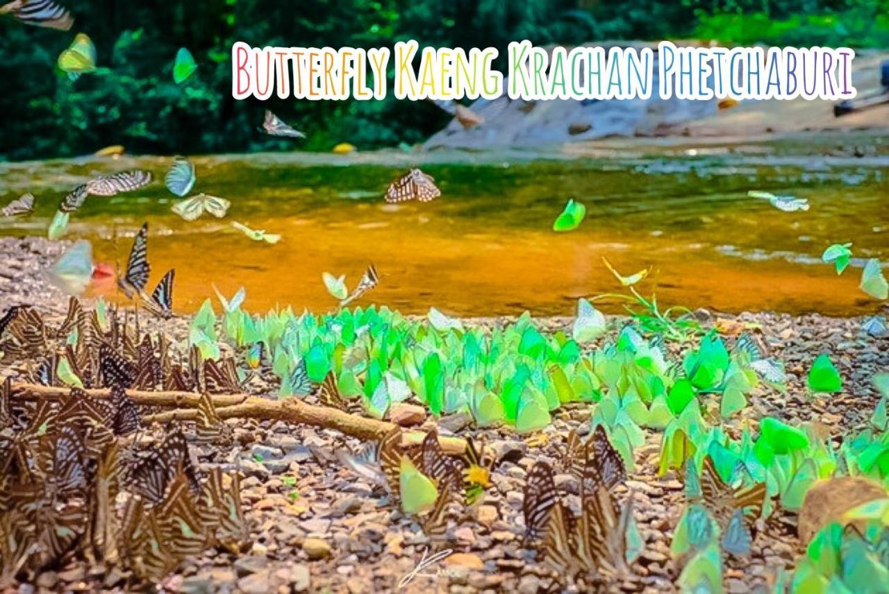 Baan Rai Pray Rung Kaeng Krachan Ban Tha Ling Lom Екстериор снимка